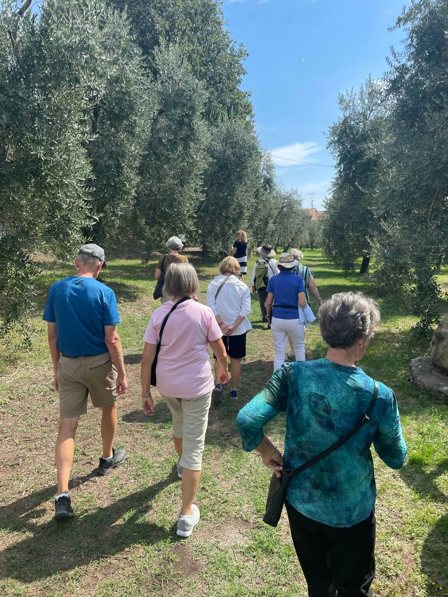 Lake Garda Olive Oil Mill and Winery Tour with Salo Visit