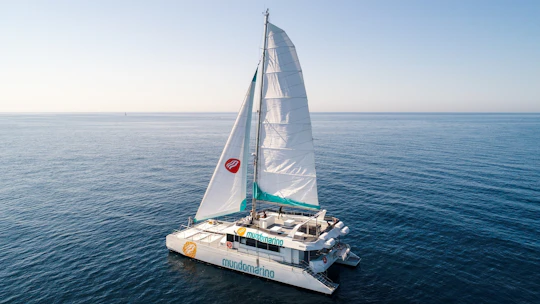 Sunset catamaran cruise in the Bay of Malaga with cava