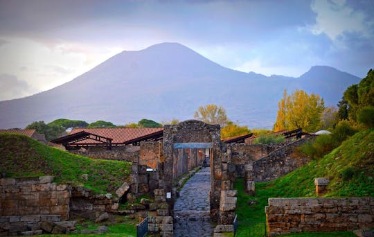 Full-Day Vesuvius and Pompeii Guided Tour with Lunch from Rome
