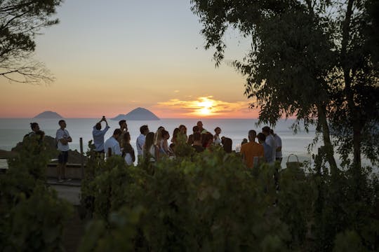 Zwiedzanie winnic z przewodnikiem i degustacja wina na wyspie Lipari o zachodzie słońca