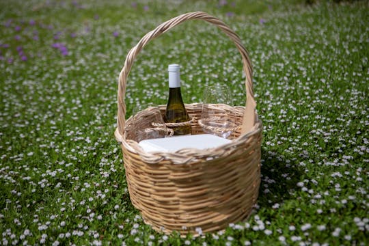 Picnic in a Vineyard in Lipari with Scenic Islands Views