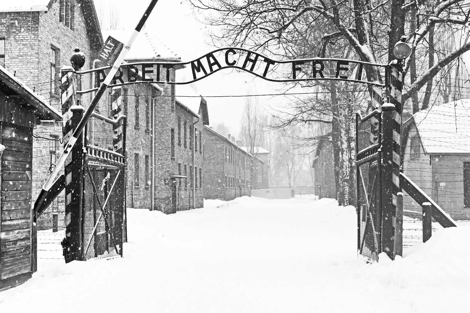 Geführte Tour durch das Museum Auschwitz-Birkenau ab Krakau