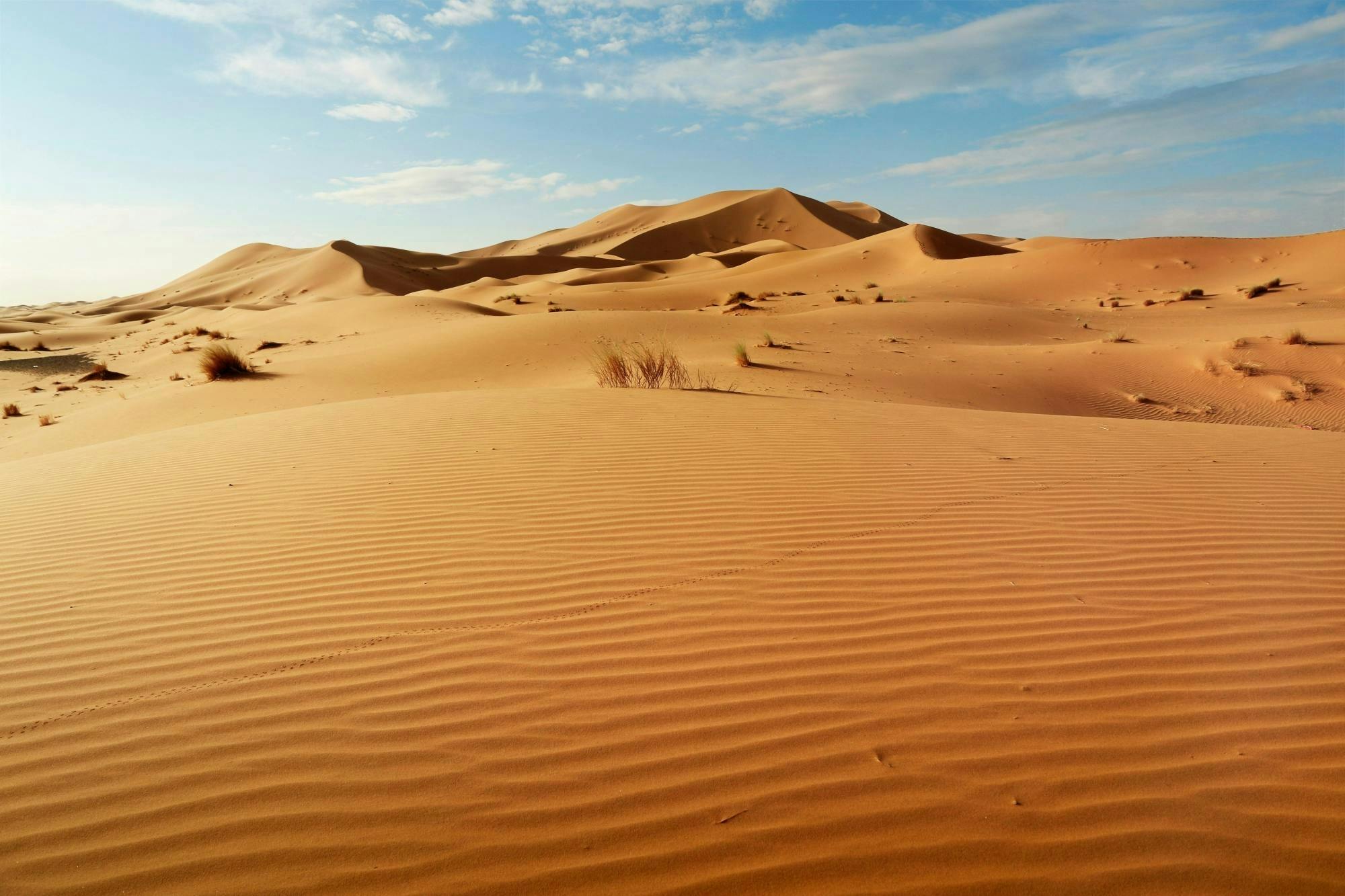 Visite guidée d'une demi-journée aux dunes du Sahara depuis Agadir