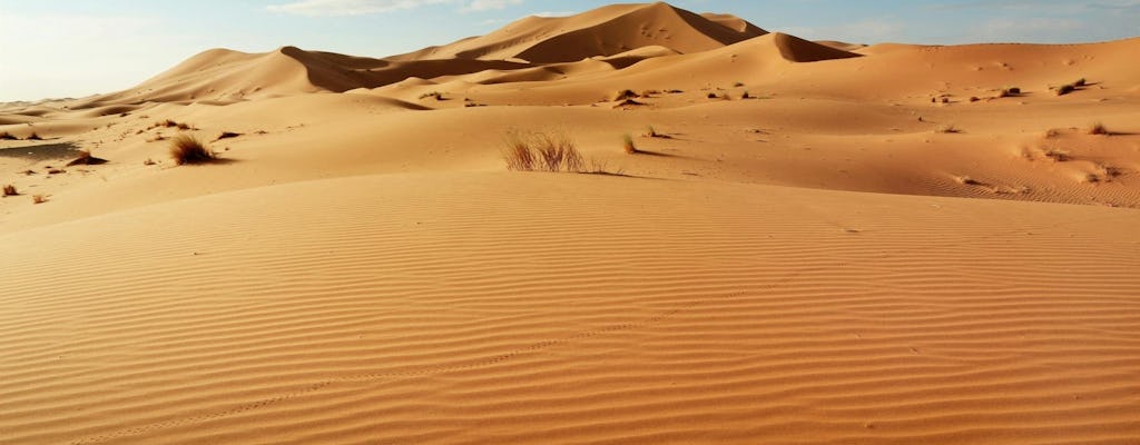 Visite guidée d'une demi-journée aux dunes du Sahara depuis Agadir