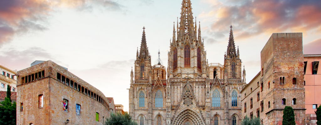 Kathedraal van Barcelona Skip-the-Line-tour, terras en virtuele ervaring