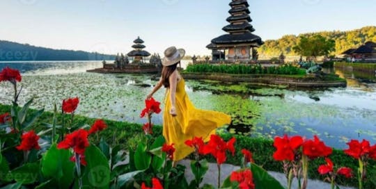 Bali private bespoke guided day tour