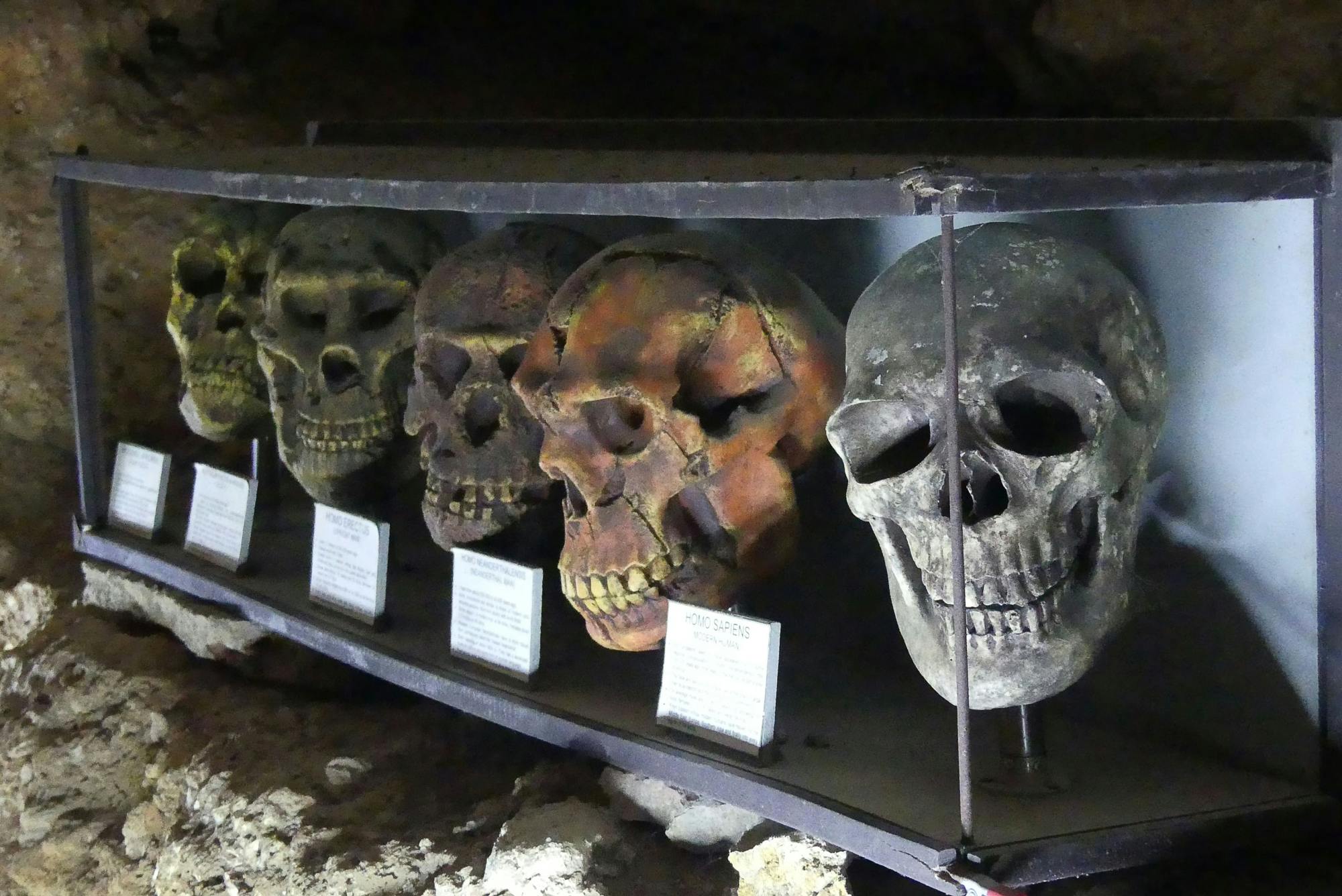Calaveras Skull Cave & Calpe Tour