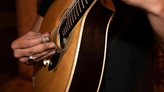 Fado show with dinner and night tour