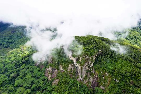 Ruta natural privada Morne Blanc desde Mahé