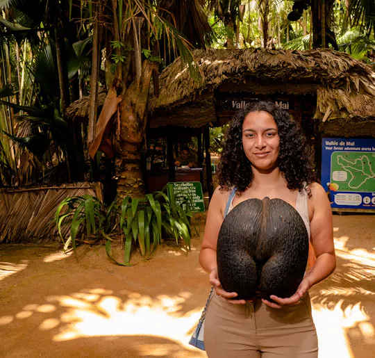 Vallée de Mai guided walking tour