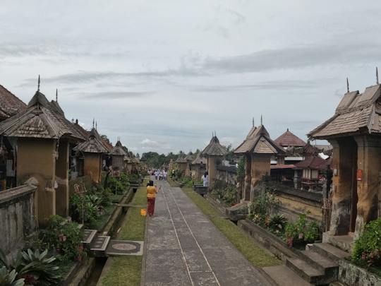 Escapade Majesté Kintamani