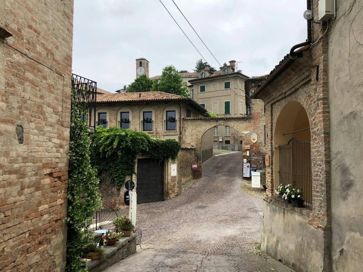 Tour a piedi di Neive con degustazione di vini