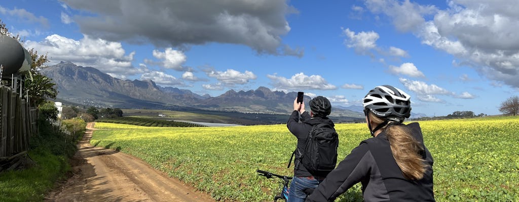 Stellenbosch Winelands: 5-godzinna prywatna wycieczka rowerowa