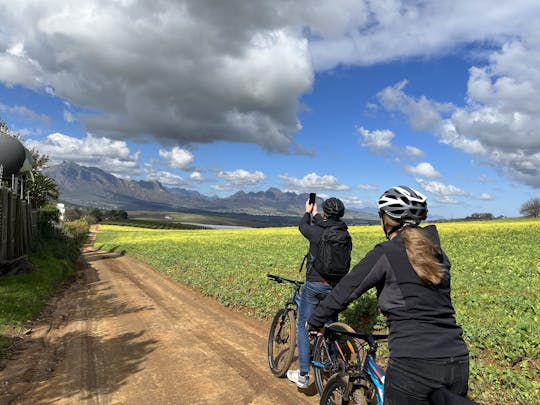 Tour privato in bici elettrica di 5 ore di Stellenbosch Winelands