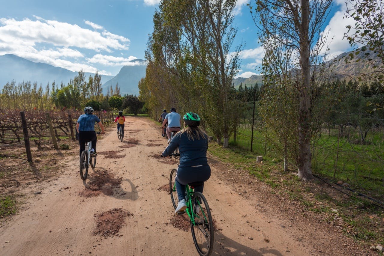 Tour privado en bicicleta eléctrica de 7 horas por Franschhoek Winelands con almuerzo