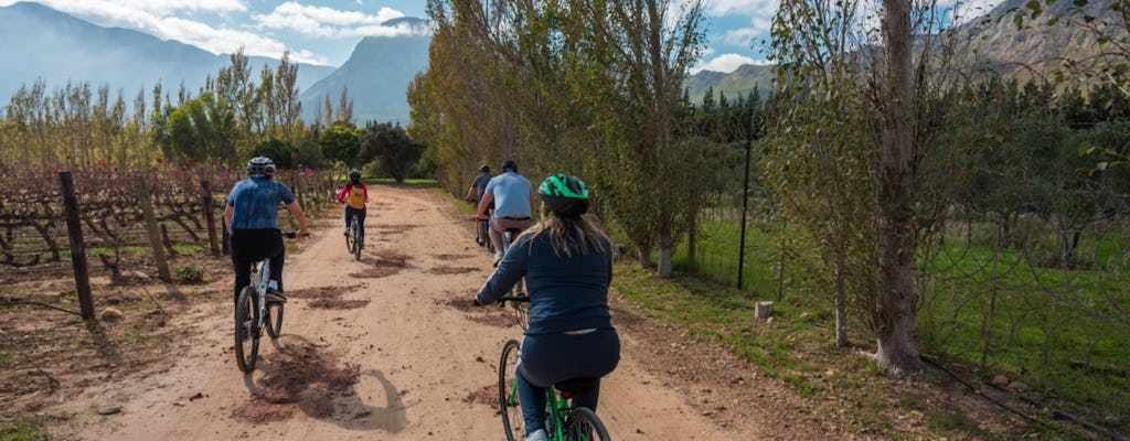 Franschhoek Winelands 7 hour Private E-Bike Tour with Lunch