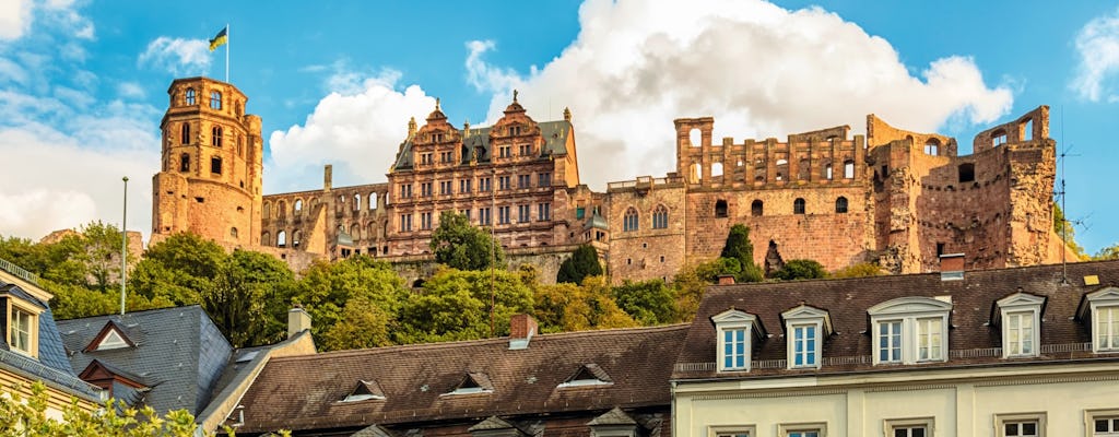 Kolekcja rejsów rzecznych: wycieczka po mieście i zamek w Heidelbergu