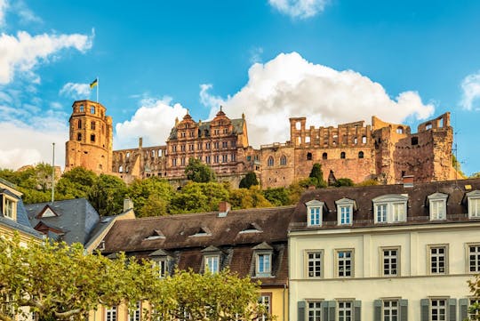 Colección de cruceros por el río: recorrido por la ciudad de Heidelberg y castillo