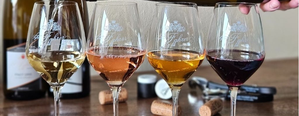 Domaine Fahrer et Fils guided tour with wine tasting