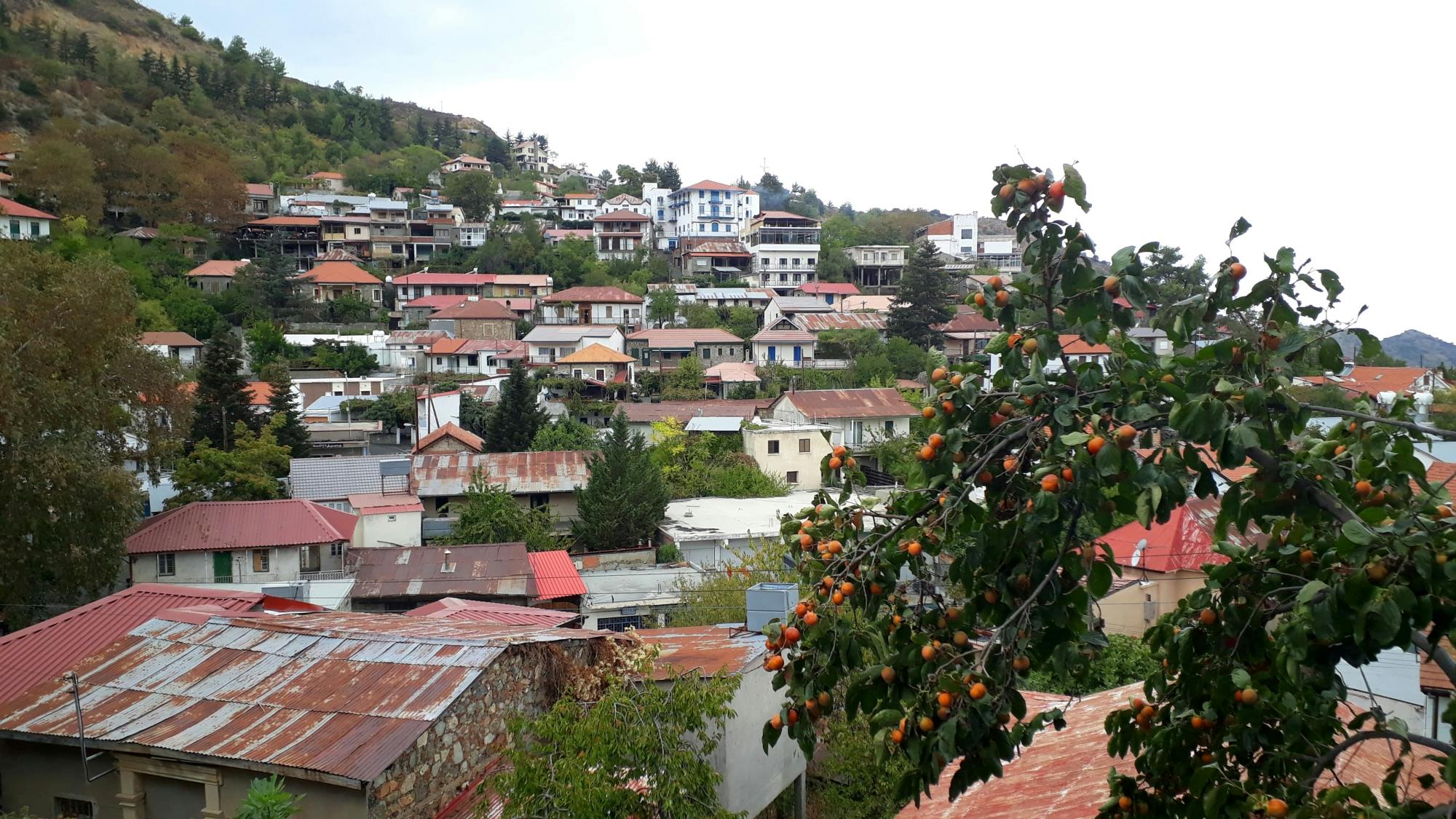 Troodos Mountains Tour with Kykkos Monastery and Lunch