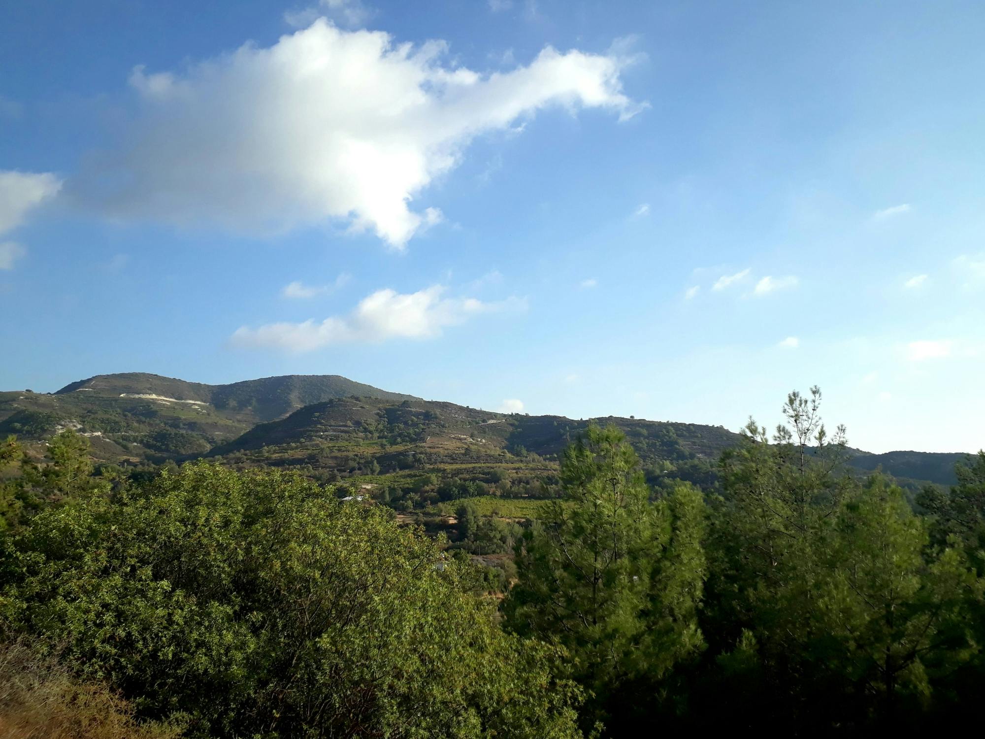 Troodos Mountains Tour with Kykkos Monastery and Lunch