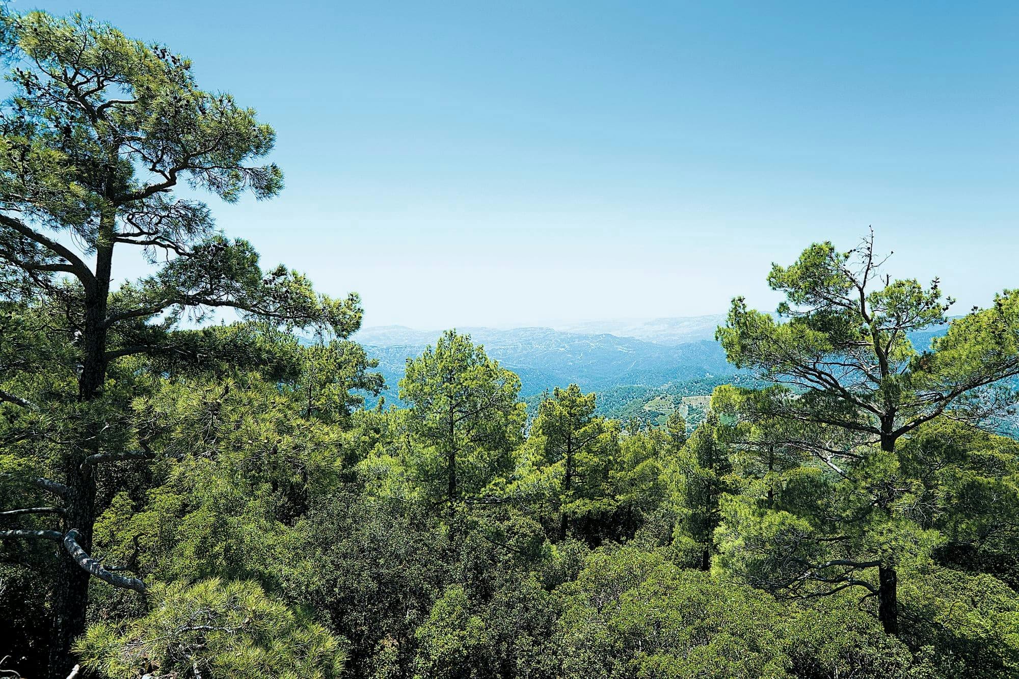 Troodos Mountains Tour with Kykkos Monastery and Lunch