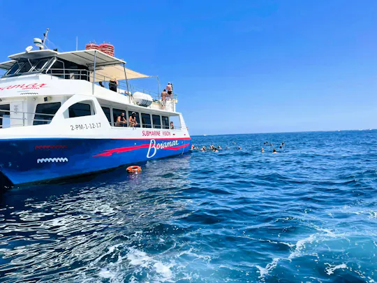 Cruzeiro de catamarã com degustação de mexilhões e vinhos de Denia