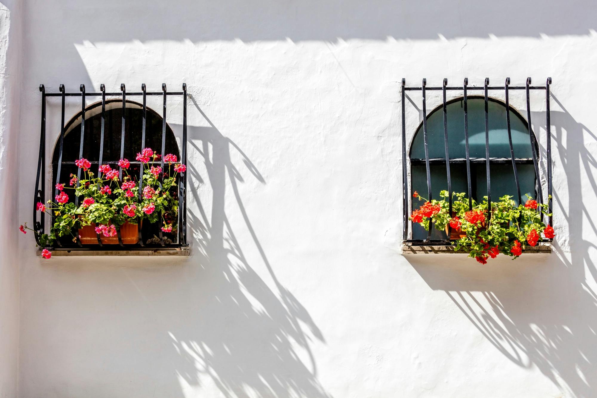 Amalfi Coast Gems Tour with Positano, Pontone and Ravello