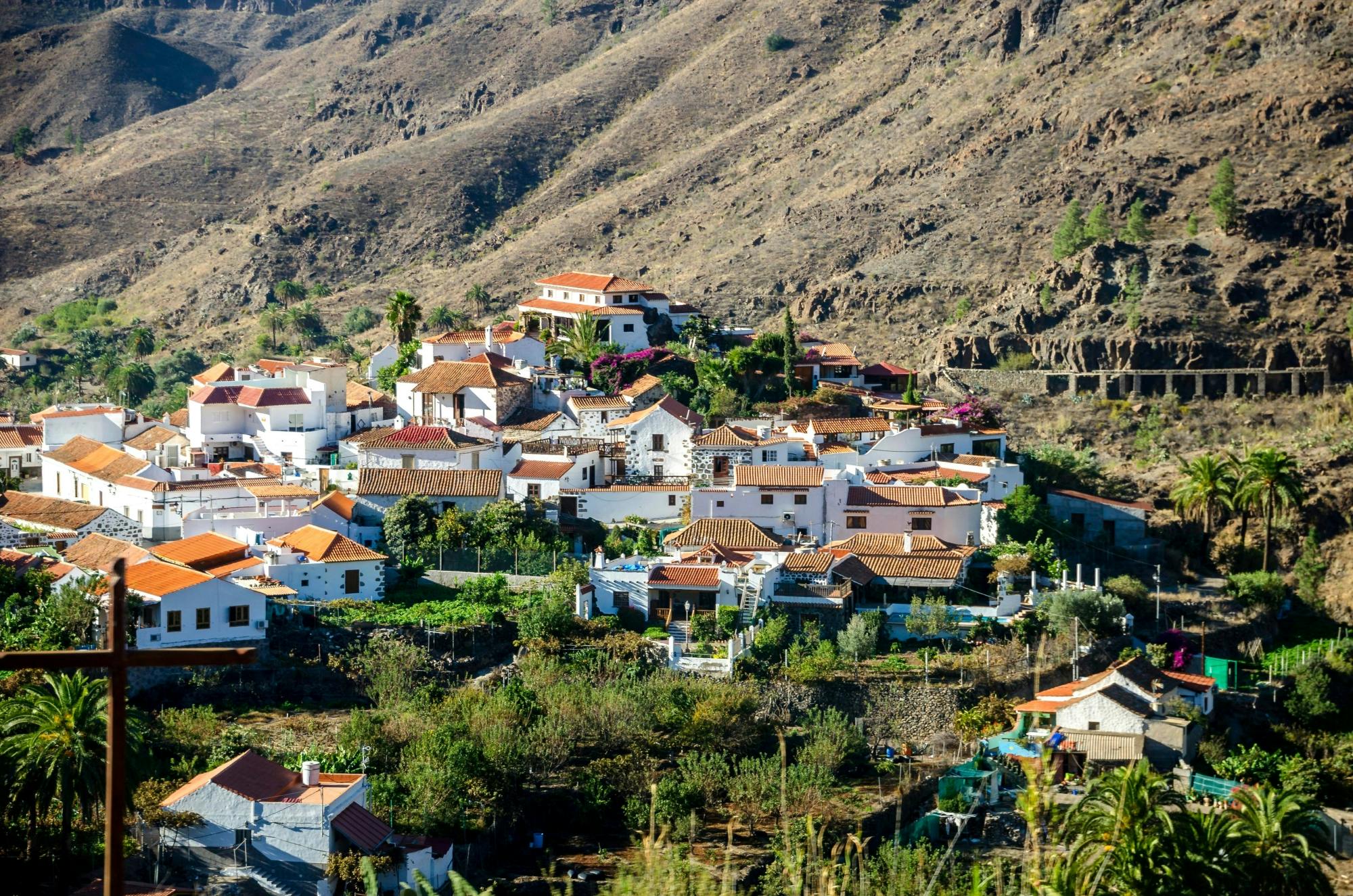 Gran Canaria Tour with Teror, Tejeda and Lunch in Fataga