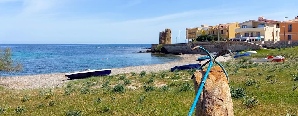 Sardinië Prachtige Stranden & Huisgemaakt IJs