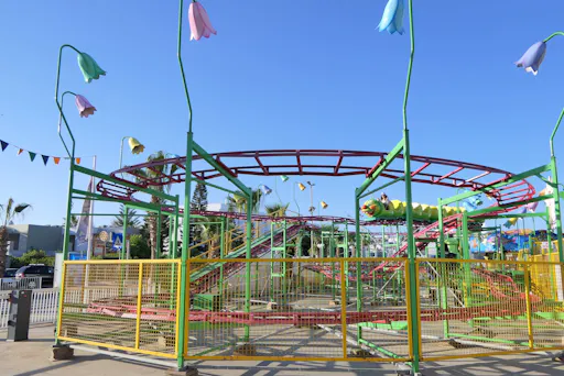 Parko Paliatso Wristbands