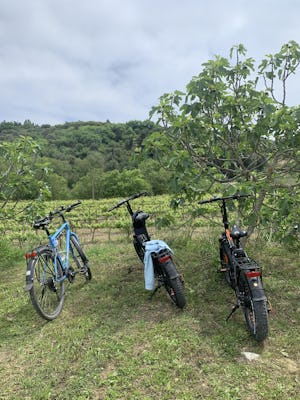Excursão de vinho de bicicleta elétrica em Cefalônia