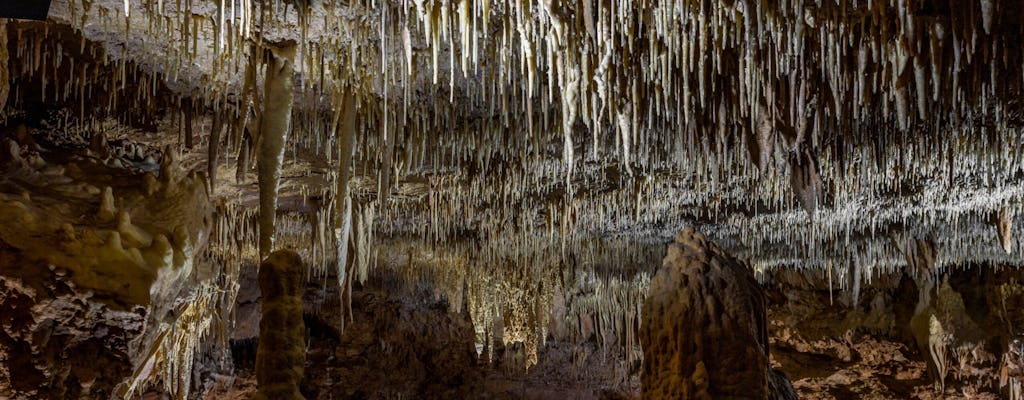 Tour delle meraviglie nascoste delle caverne del ponte naturale