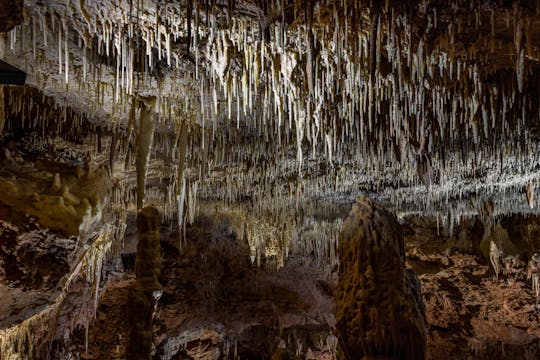 Wycieczka do ukrytych cudów w jaskiniach Natural Bridge