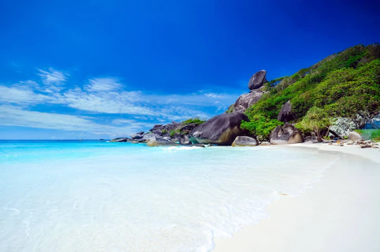 Full-day Similan Islands speedboat and snorkelling tour with Wow Andaman