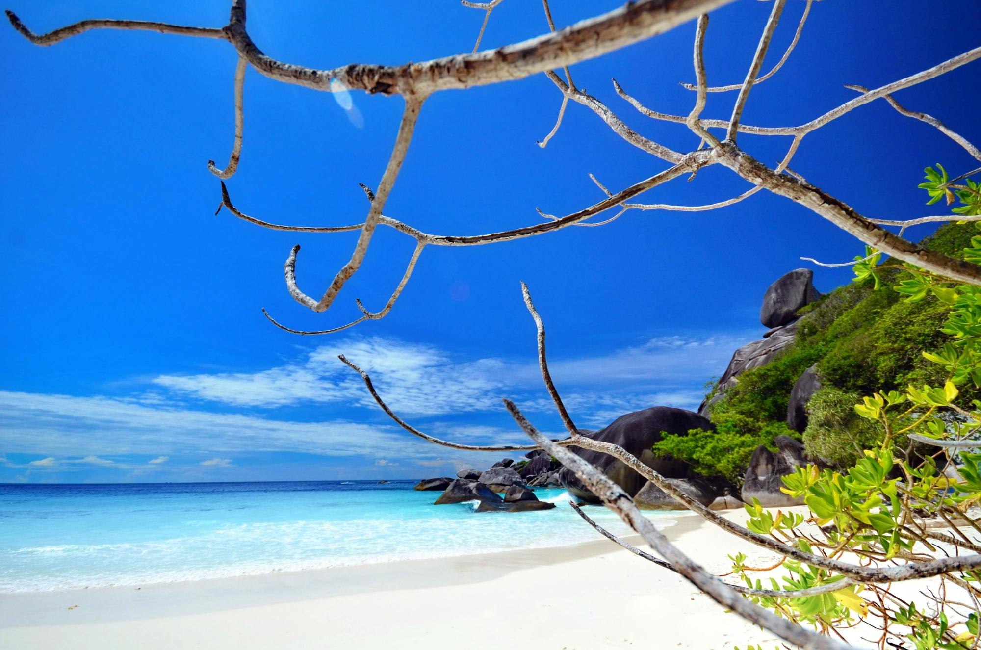 Similan Islands Speedboat & Snorkelling Tour with Wow Andaman