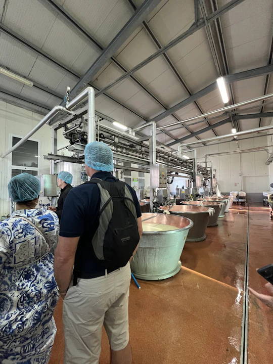 Ferrari, Parmesan and Balsamic Food Tasting Tour in Bologna