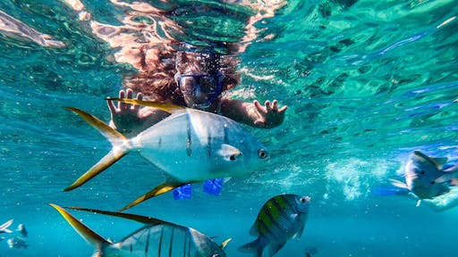 Cabo San Lucas City Tour with Catamaran Cruise