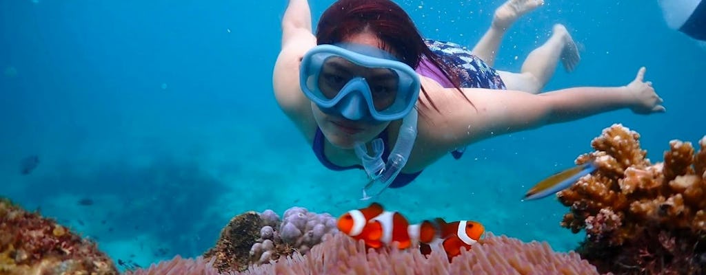 Lancha privada a la isla Nemo con snorkel