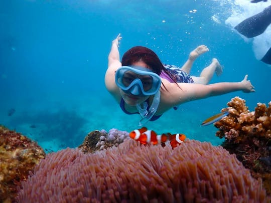 Lancha privada a la isla Nemo con snorkel