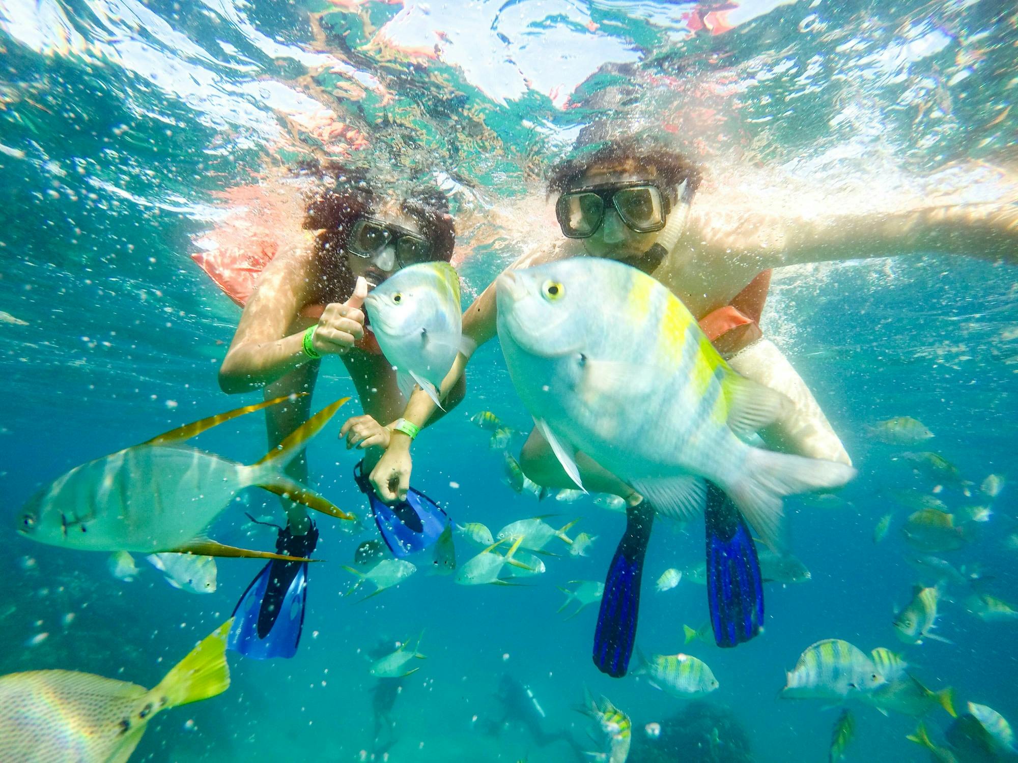 Sea of Cortez Snorkelling Boat Cruise