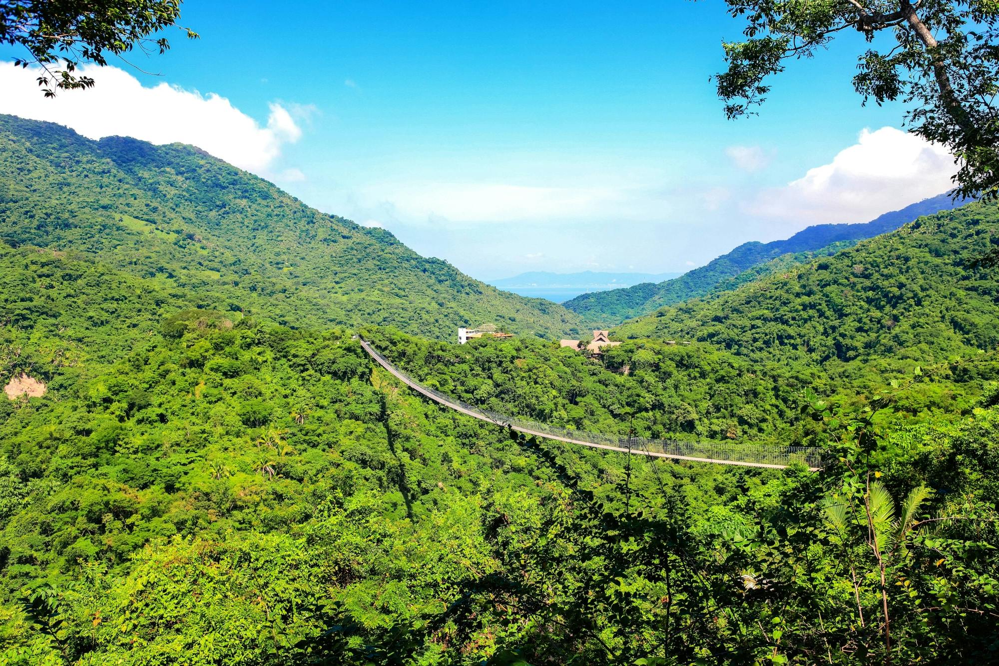 Canopy River Quad Bike Tour