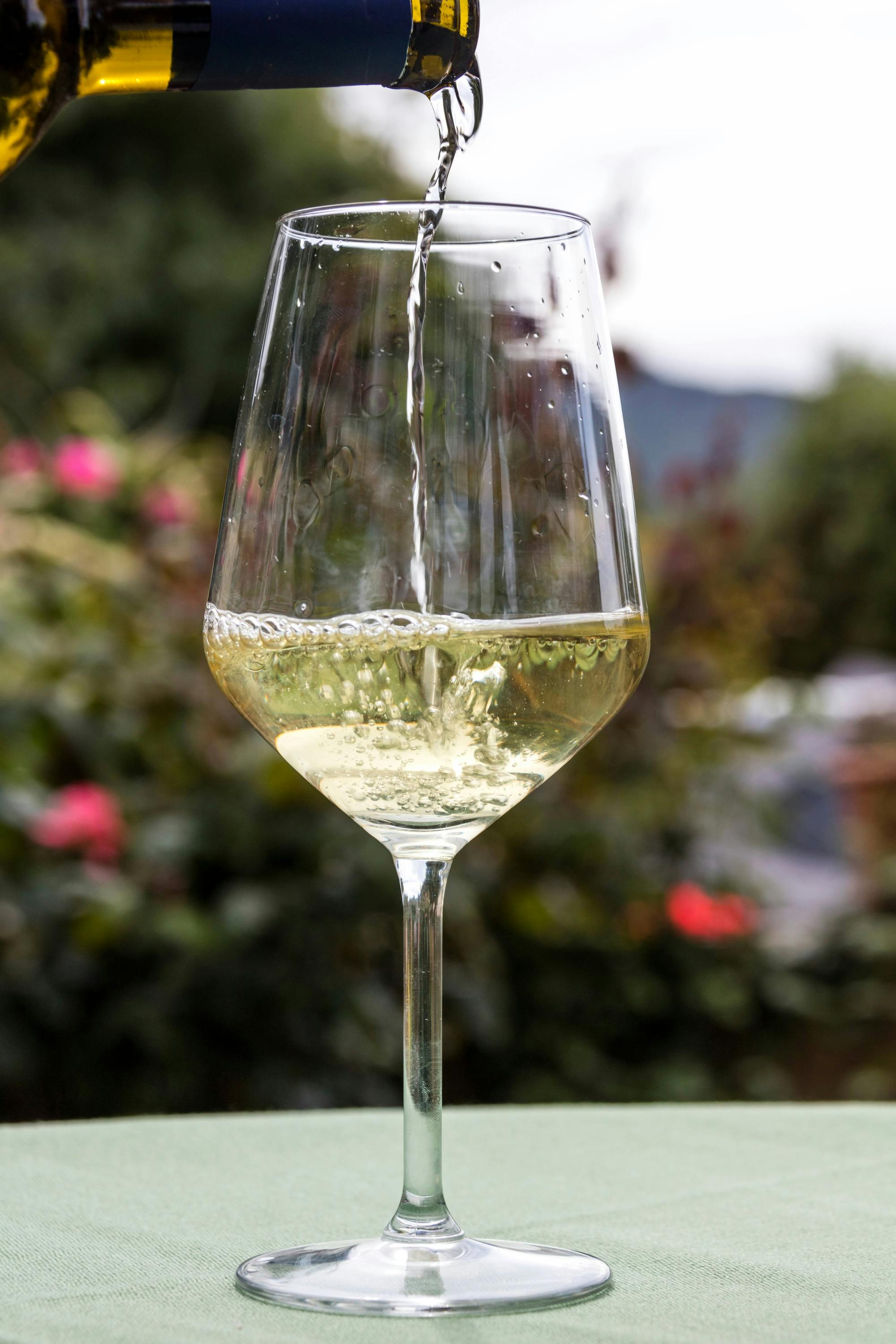 Paseo de degustación de vinos