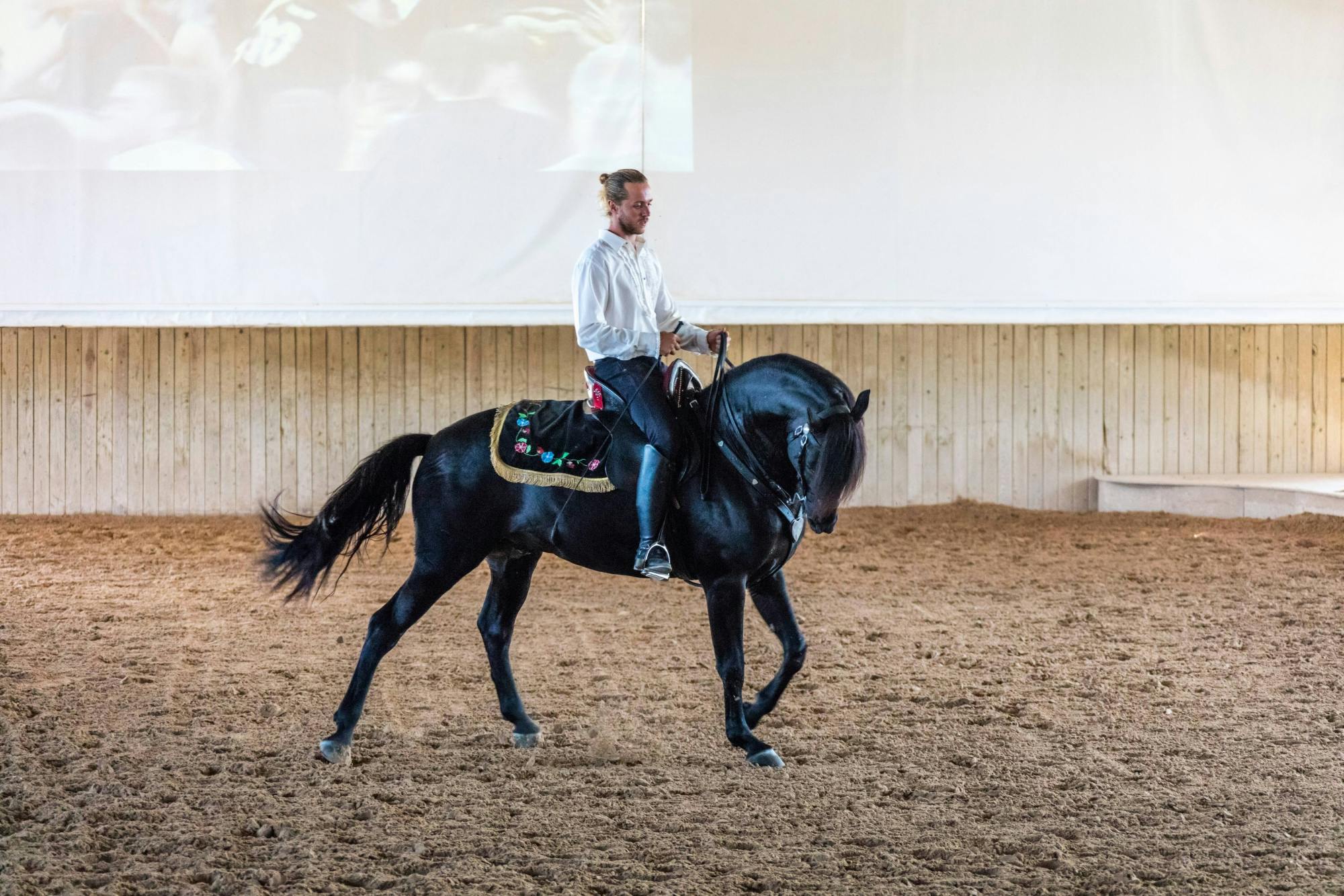 Fuerteventura Agricultural Fair Special Event – 19th May 24