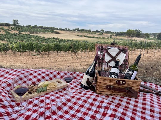 Viagem de um dia de Madrid a Ribera del Duero e Rueda com degustação de vinhos