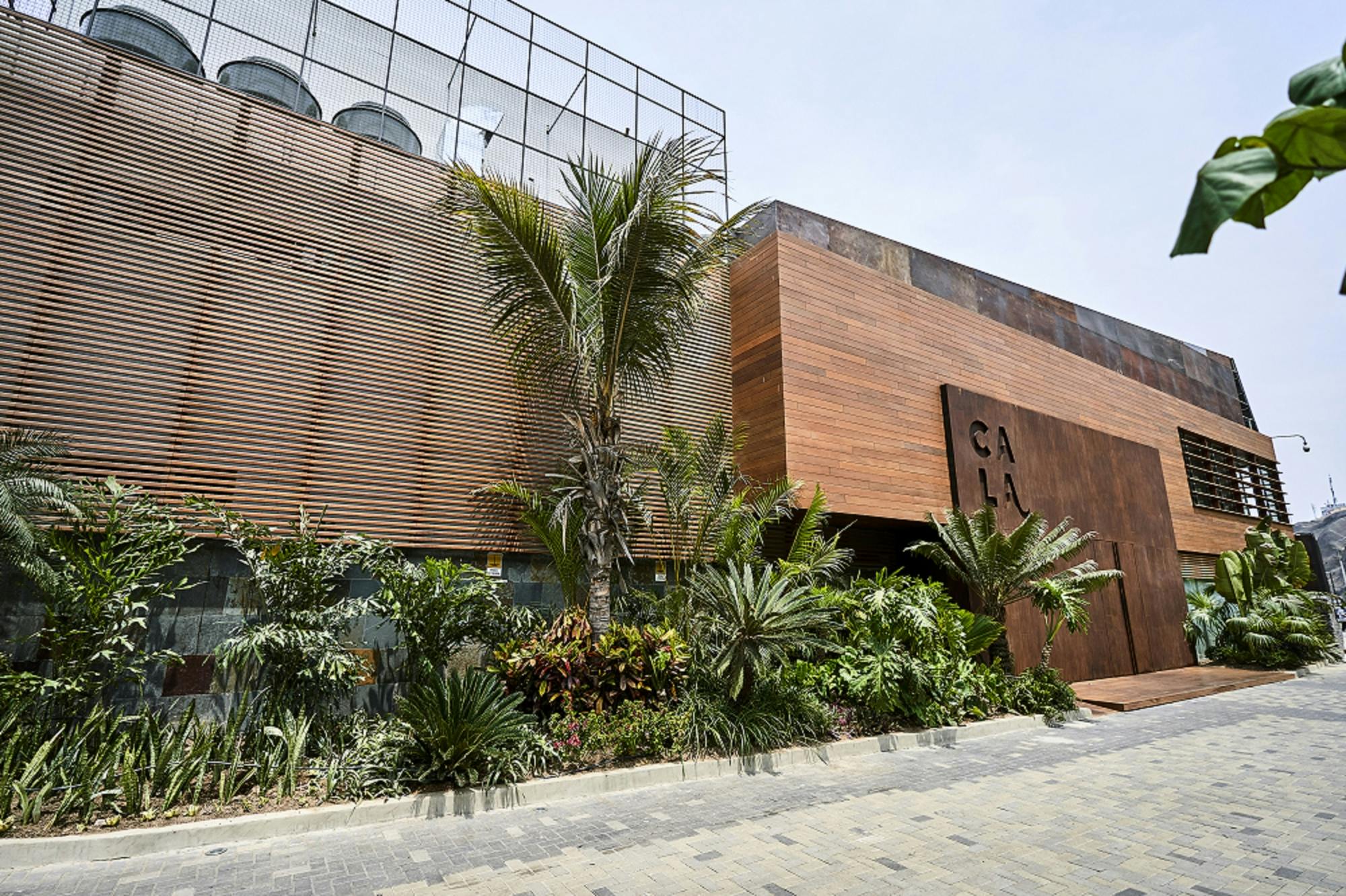 Cooking class and Pisco sour at Cala Restaurant with lunch