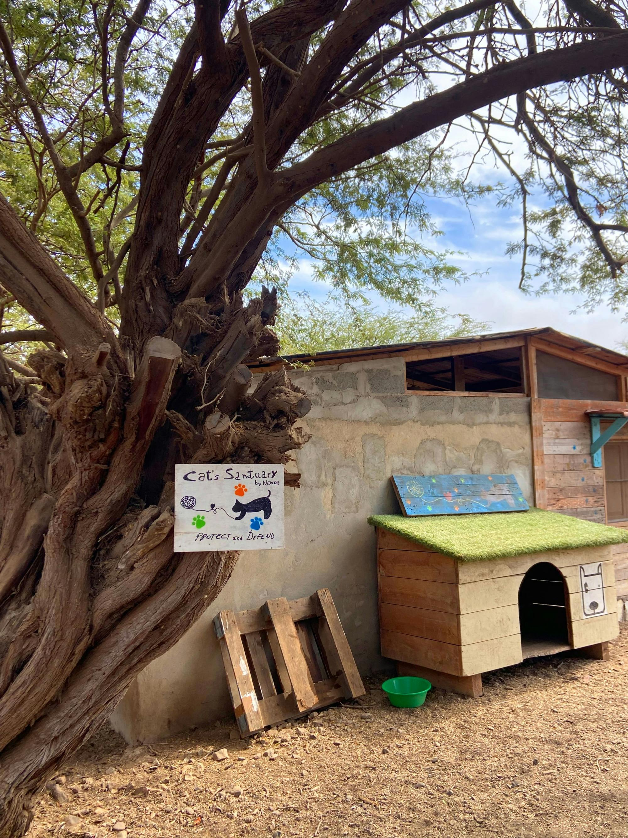 Boa Vista 4x4 Tour with Catchupa Demonstration and Lunch