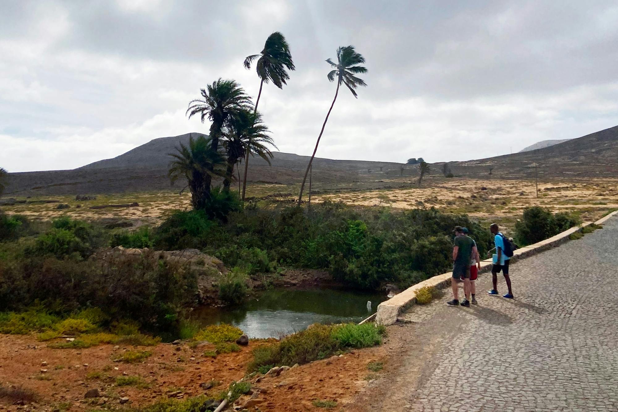 Boa Vista 4x4 Tour with Catchupa Demonstration and Lunch