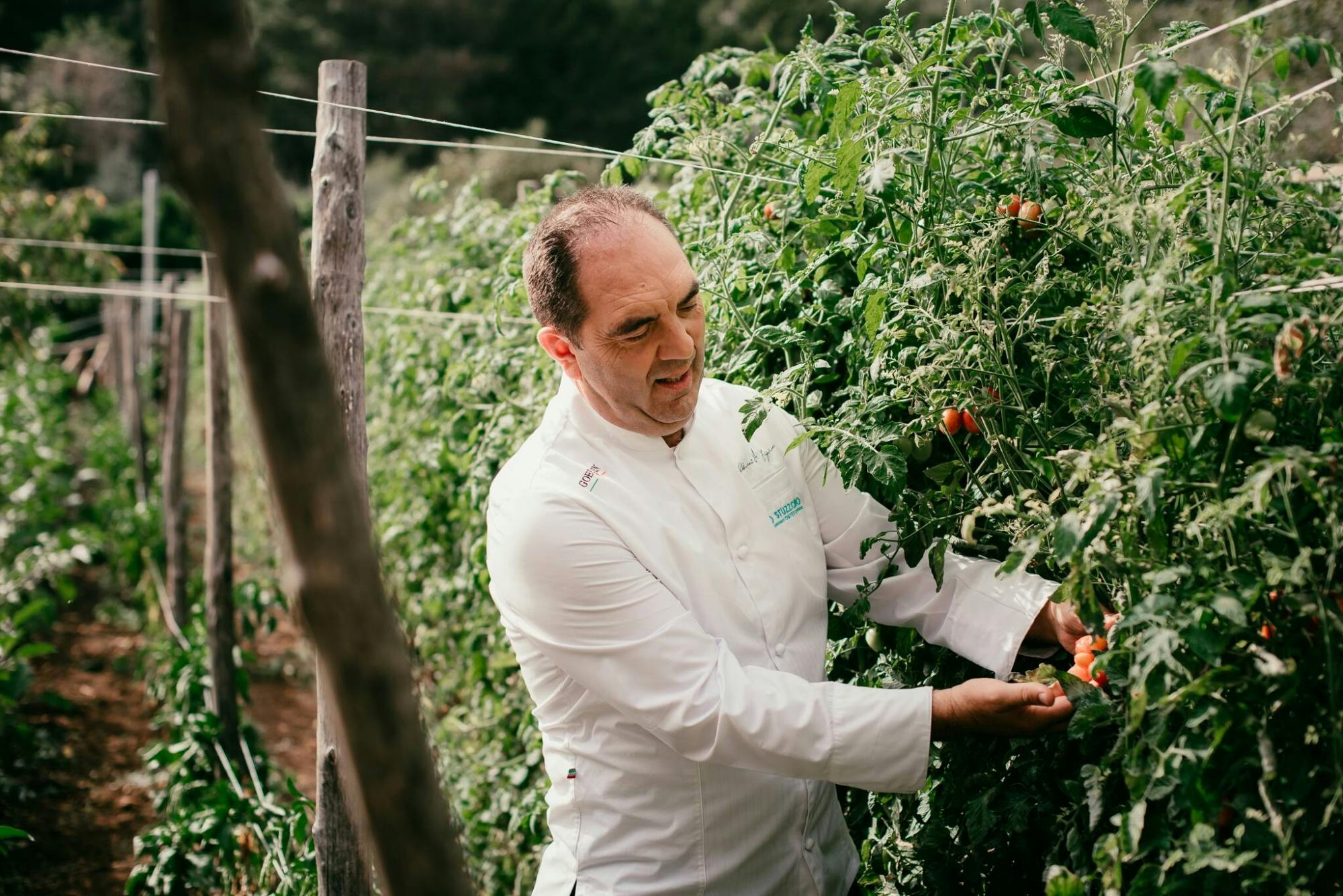 Escuela de cocina del campo a la mesa con el chef Mimmo