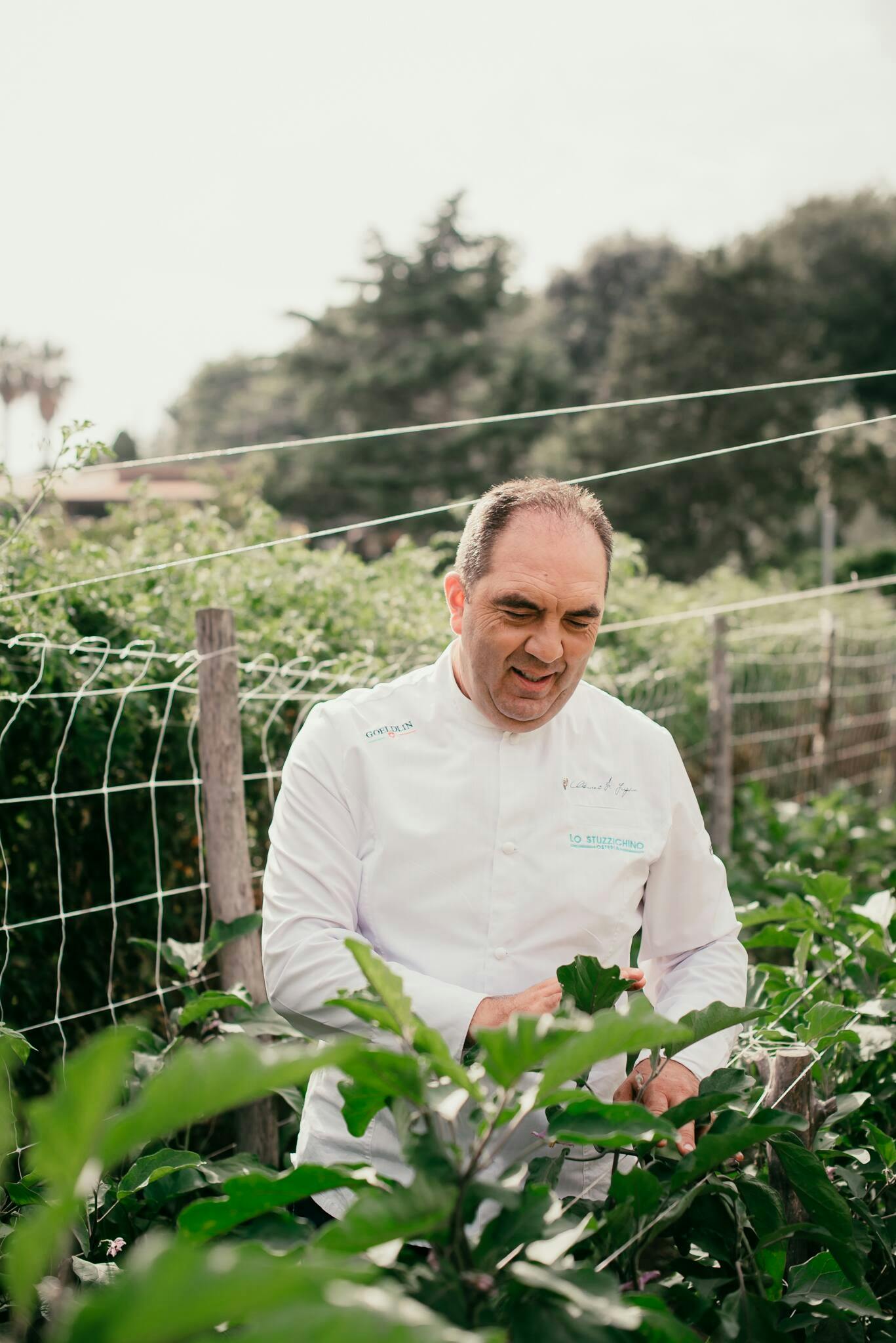 Field to Fork Cooking School with Chef Mimmo